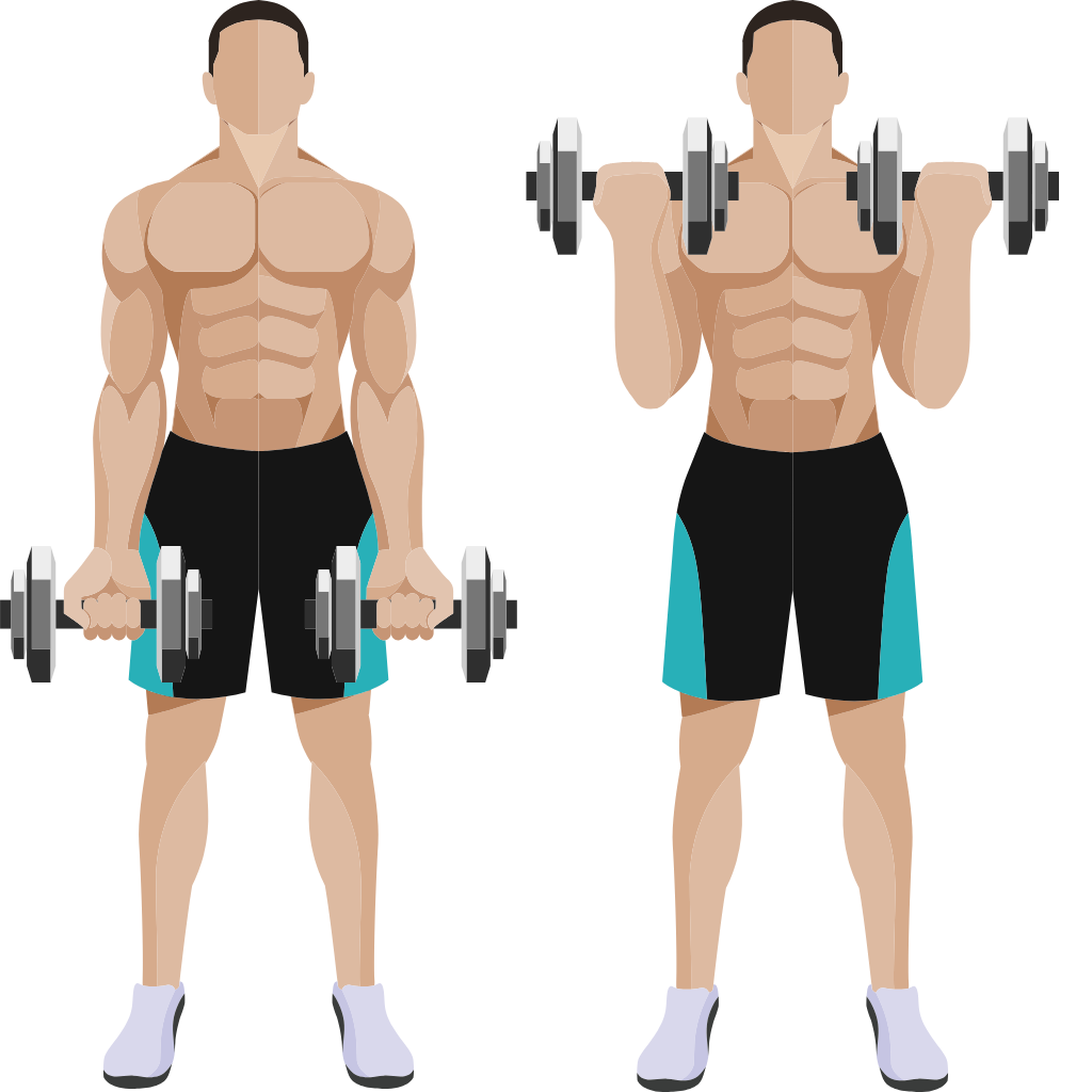 Bicep workout
