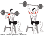 barbell shoulder exercises