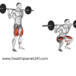 barbell squat
