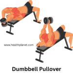 dumbbell chest exercises