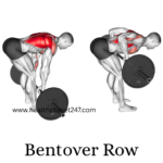barbell back exercises
