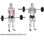 barbell exercises