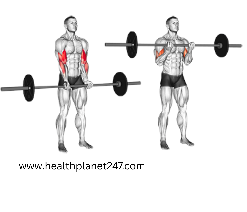 barbell exercises